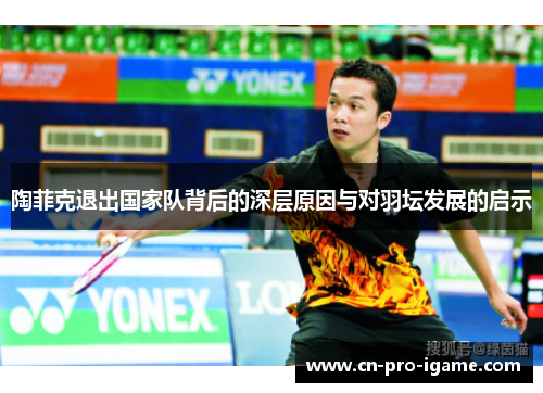 陶菲克退出国家队背后的深层原因与对羽坛发展的启示