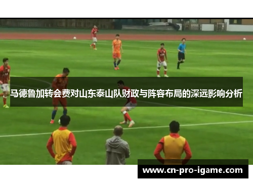 马德鲁加转会费对山东泰山队财政与阵容布局的深远影响分析